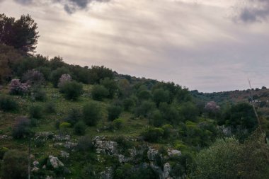 Doğada Pantalica Platosu ile Anapo Vadisi 'ndeki ağaçlı çayır manzarası bahar zamanı Pantalica rezervi, Siracusa, Sicilya, İtalya