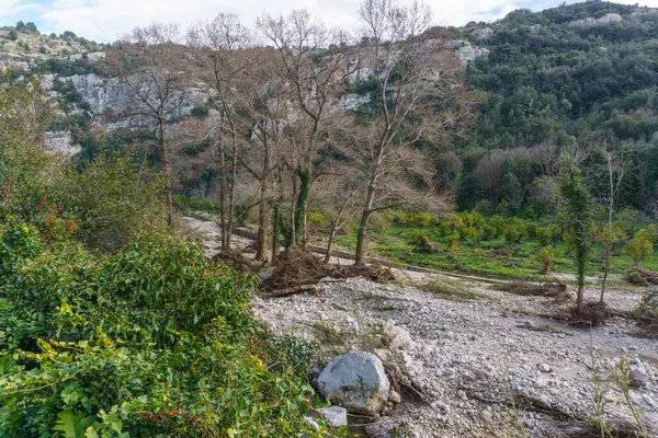 stock image View of canyon of the Anapo valley with river at the nature reserve Pantalica with flood damage, Siracusa, Sicily, Italy