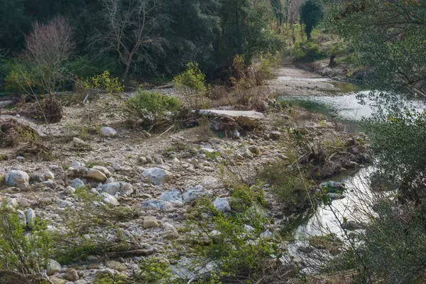 Stock image View of canyon of the Anapo valley with river at the nature reserve Pantalica with flood damage, Siracusa, Sicily, Italy