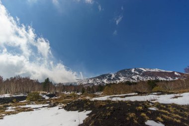 Etna Dağı 'nın volkanik manzarası Monti Sartorius' ta, huş ağaçları ve kış zamanı kar ile, Catania, Sicilya, İtalya