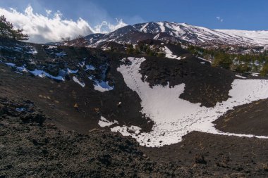 Etna Dağı 'nın volkanik manzarası Monti Sartorius' ta siyah lav zeminli ve çam ağaçları ve kış zamanı kar, Catania, Sicilya, İtalya