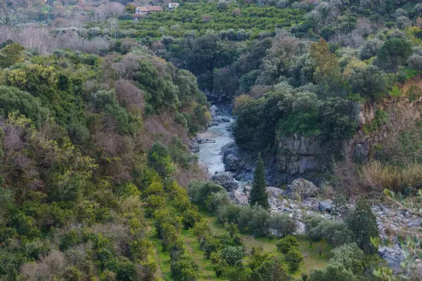 Alcantara Nehri 'nin suyu Etna volkanı, Motta Camastra, Sicilya, İtalya yakınlarındaki bazalt kayalıklardan akıyor.