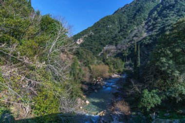 Kırsal kesimlerde şelaleleri olan Neda nehri ile güzel bir vadi, Phigalia, Moreloponnese, Yunanistan