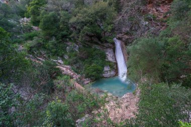 Kırsal kesimde, Phigalia, Moreloponese, Yunanistan 'da torkuaz suyu ile Neda' nın güzel doğal şelalesi