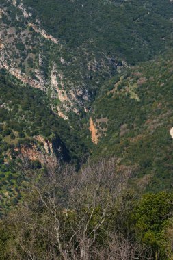 Beautiful valley with river of Neda with waterfalls in the rural countryside, Phigalia, Peloponnese, Greece clipart