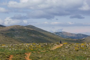 Hiking at the landscape of Peninsula Mani at cape Tainaron, Mani, Peloponnese, Greece. clipart