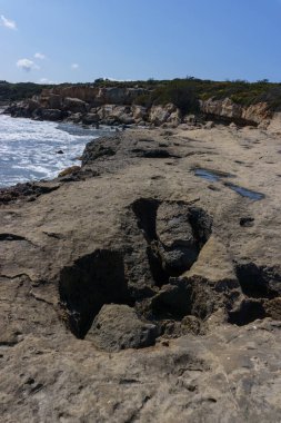 Agios Nikolaos Geopark 'ın güzel manzarası güneşli bir bahar gününde Akdeniz kıyısında taşlaşmış bir orman, Laconia, Peloponnese, Yunanistan