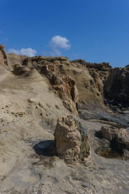 Akdeniz kıyısı, Laconia, Mora, Yunanistan 'daki Agios Nikolaos Taşlaşmış Ormanı' nın güzel manzarasında taşlaşmış ağaç gövdesi