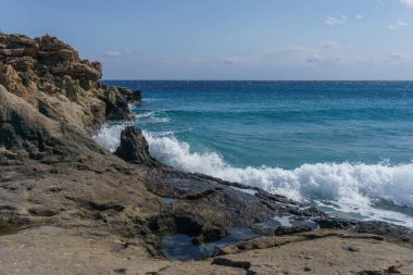 Agios Nikolaos Geopark 'taki taşlaşmış ağaca deniz suyu sıçrıyor. Akdeniz kıyısındaki Taşlaşmış Orman, Laconia, Moreloponnese, Yunanistan