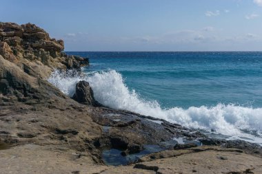Agios Nikolaos Geopark 'taki taşlaşmış ağaca deniz suyu sıçrıyor. Akdeniz kıyısındaki Taşlaşmış Orman, Laconia, Moreloponnese, Yunanistan