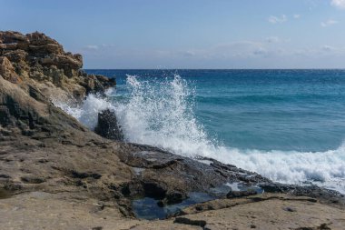 Agios Nikolaos Geopark 'taki taşlaşmış ağaca deniz suyu sıçrıyor. Akdeniz kıyısındaki Taşlaşmış Orman, Laconia, Moreloponnese, Yunanistan