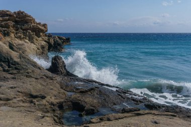 Agios Nikolaos Geopark 'taki taşlaşmış ağaca deniz suyu sıçrıyor. Akdeniz kıyısındaki Taşlaşmış Orman, Laconia, Moreloponnese, Yunanistan