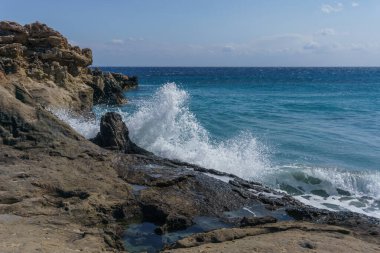 Agios Nikolaos Geopark 'taki taşlaşmış ağaca deniz suyu sıçrıyor. Akdeniz kıyısındaki Taşlaşmış Orman, Laconia, Moreloponnese, Yunanistan