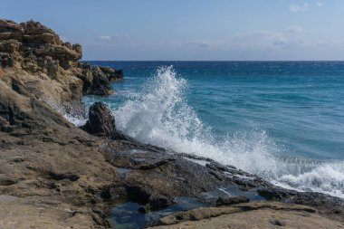 Agios Nikolaos Geopark 'taki taşlaşmış ağaca deniz suyu sıçrıyor. Akdeniz kıyısındaki Taşlaşmış Orman, Laconia, Moreloponnese, Yunanistan