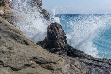 Agios Nikolaos Geopark 'taki taşlaşmış ağaca deniz suyu sıçrıyor. Akdeniz kıyısındaki Taşlaşmış Orman, Laconia, Moreloponnese, Yunanistan