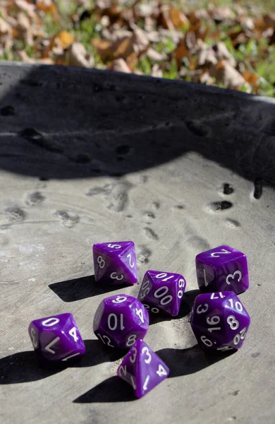 Purple role playing game dice on ruins outdoors.