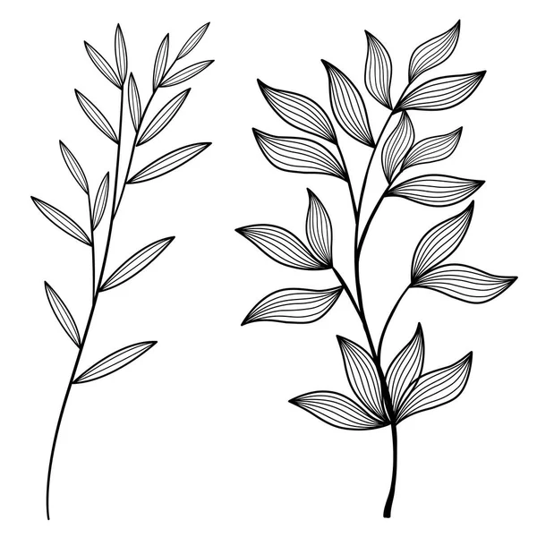 白地に孤立した葉 葉飾りの要素 — ストックベクタ