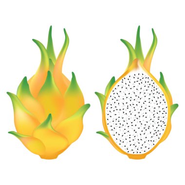 Beyaz arka planda izole edilmiş sarı ejderha meyvesi. Gerçekçi ejderha meyvesi.