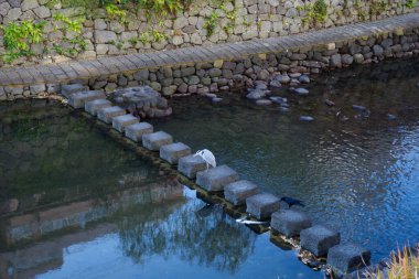 Beyaz kuş ve siyah karga Meganebashi Tugayı 'nın altındaki geçide tünediler.
