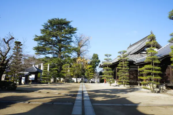 Kurashiki Japón Diciembre 2023 Patio Del Santuario Achi — Foto de Stock