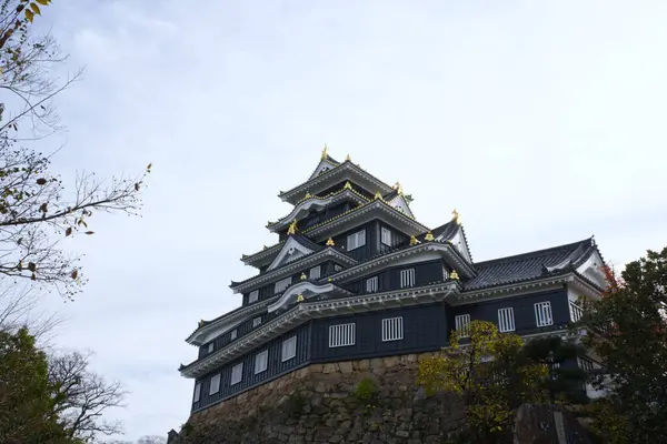 Okayama, Japonya - 9 Aralık 2023: Okayama Şatosu veya Karga Şatosu 'nu kapatın