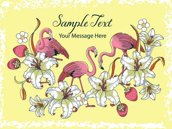 Tropik Flamingo Vektör Kartı Arkaplanı