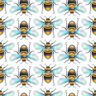 Suluboya ve Mürekkep Bal Arıları Sırayla