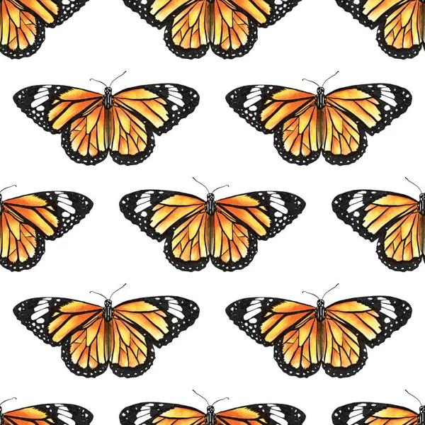 Monarque Papillon Directionnel Aquarelle Modèle Sans Couture — Photo