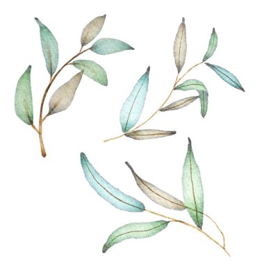 Yeşil Ağaç Dalları Suluboya Ayırılmış Elementler Ayarlandı