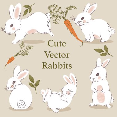 Havuçlu şirin beyaz tavşanlar. Vektör izole elementler.