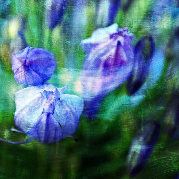 Close Blue Lily Nile Buds Mixed Media — Stock Photo, Image
