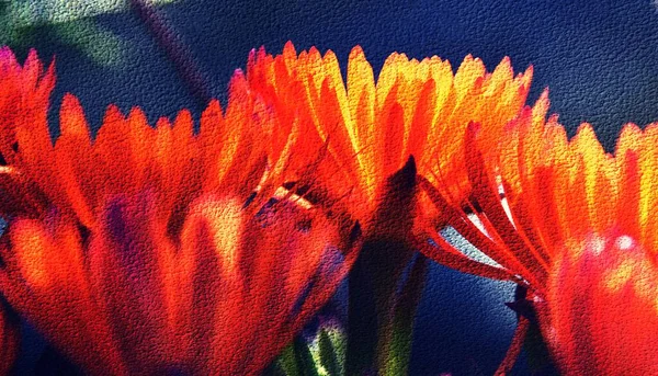 Zblízka Krásné Oranžové Koncové Led Rostlina Květy Smíšené Média — Stock fotografie