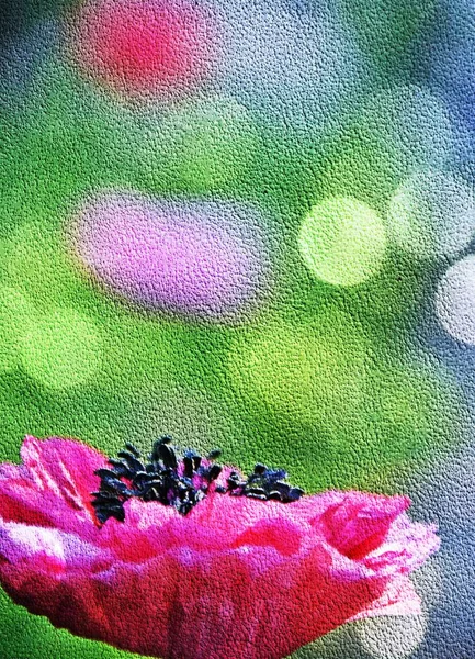 Primer Plano Una Flor Amapola Rosa Medios Mixtos —  Fotos de Stock