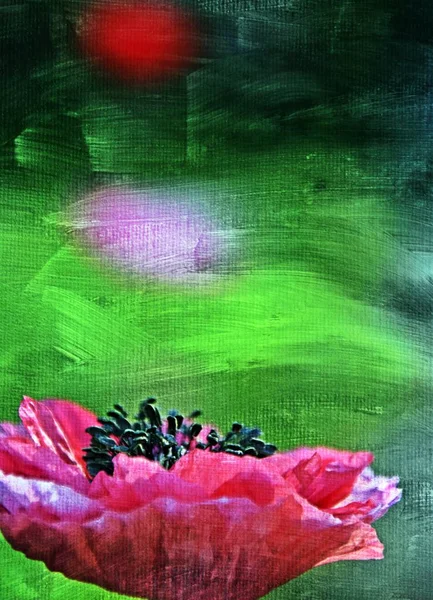 Close Pink Poppy Flower Mixed Media — Stock Photo, Image
