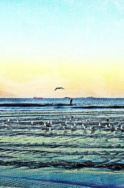 Пейзаж Чайками Пляже Минертон Восходе Солнца Смешанные Средства Массовой Информации — стоковое фото