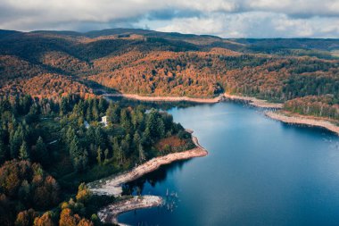 Sonbahar Ormanıyla Büyük Göl Havadan Görünümü