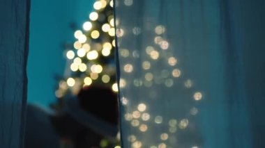 Yakını gecenin karanlığında Noel ağacını süslüyor.