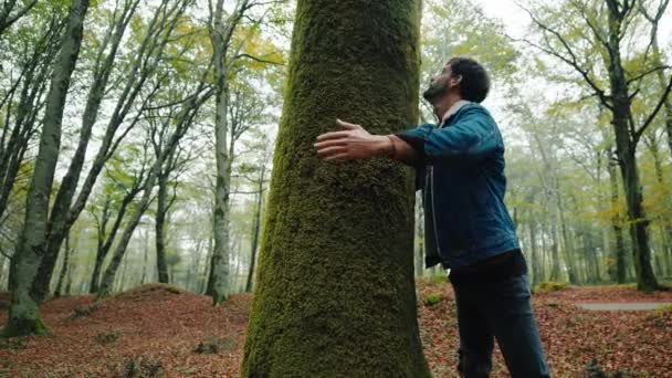 男の子は木の幹を抱擁する 自然への愛 — ストック動画