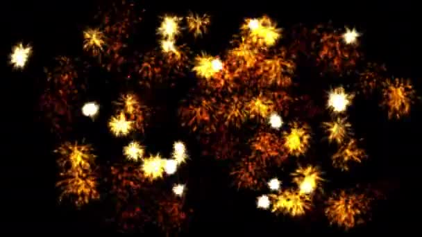Particle Fireworks Black Background — Stock Video