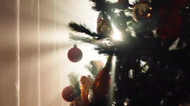Noel ağacının kapanışı Gün ışığında