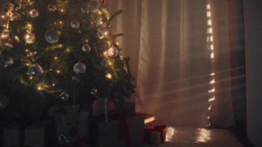 Pencere Işığındaki Noel Ağacını Kapat