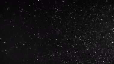 Kar Parçacıkları Siyah Arkaplan Efektleri.