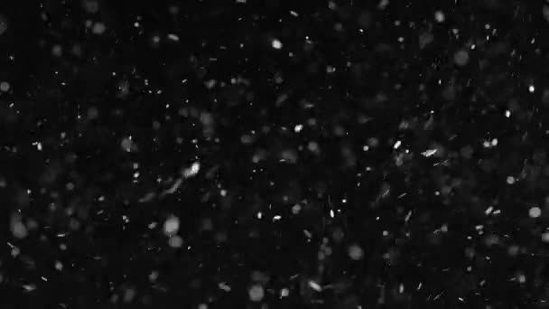 Snö Partiklar Effekter Svart Bakgrund — Stockvideo