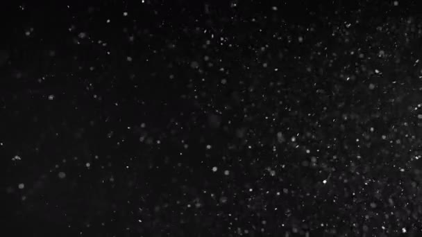 Χιόνι Σωματίδια Επιδράσεις Μαύρο Φόντο — Αρχείο Βίντεο
