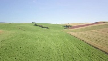 Aerial view of expanse of rolling cultivated hills