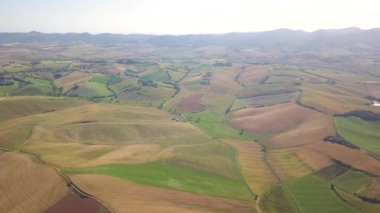 Yuvarlanan ekili tepelerin hava manzarası