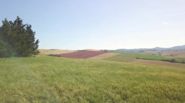 Aerial view of expanse of rolling cultivated hills