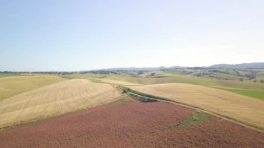 Aerial view of expanse of rolling cultivated hills