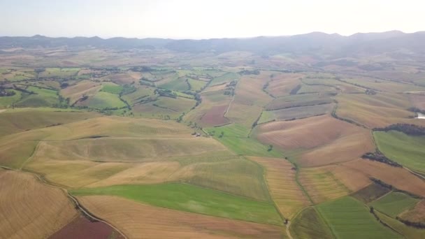 Aerial View Expanse Rolling Cultivated Hills — Stock Video