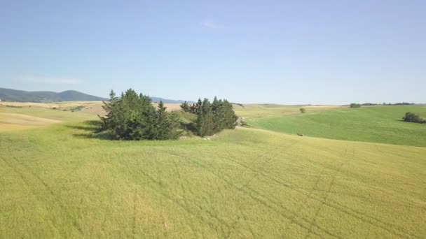 Aerial View Expanse Rolling Cultivated Hills — Video Stock